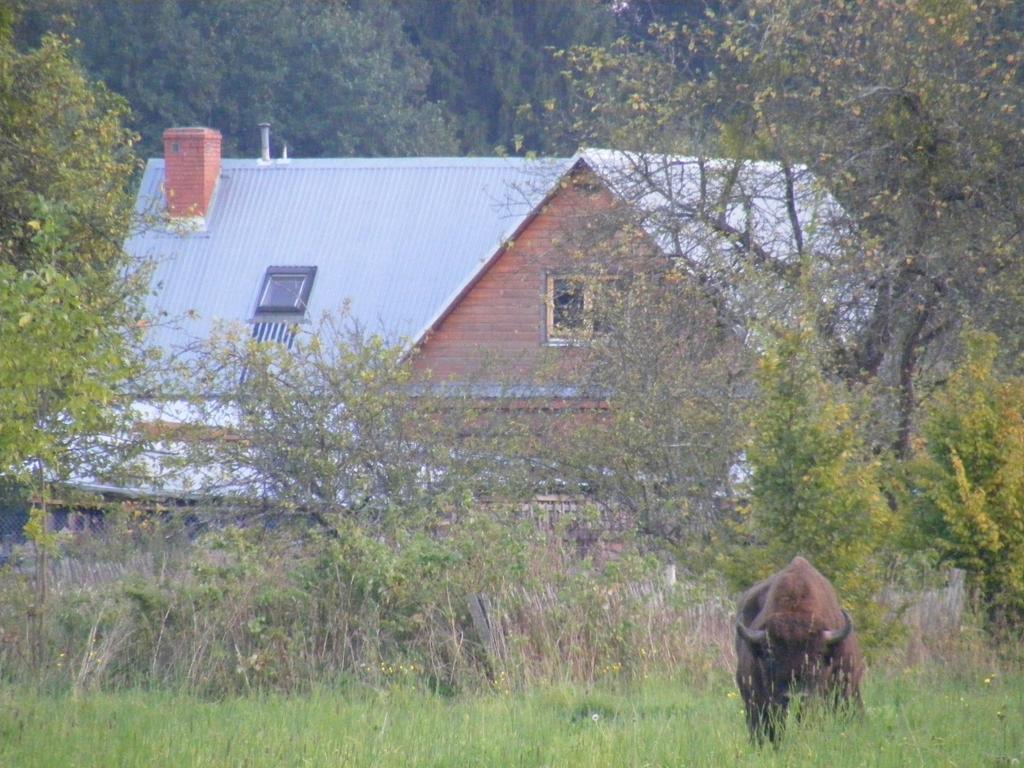 Apartamento Olsik Białowieża Exterior foto