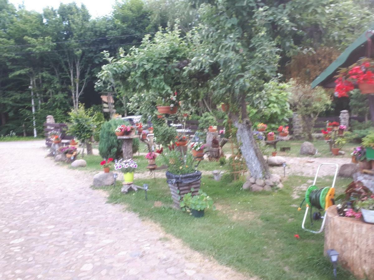 Apartamento Olsik Białowieża Exterior foto